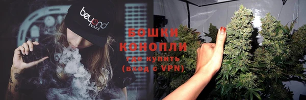 дурь Богданович