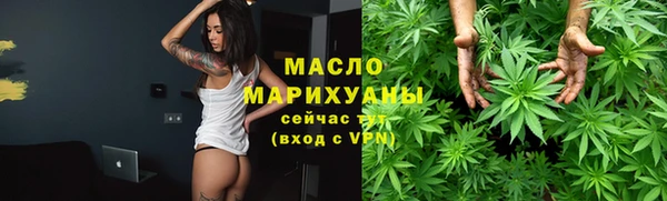 мдпв Богородицк