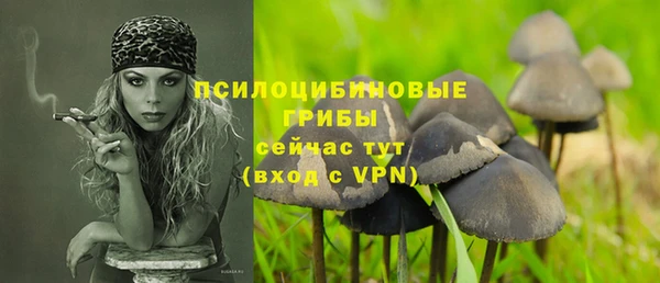 дурь Богданович