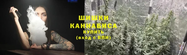 дурь Богданович