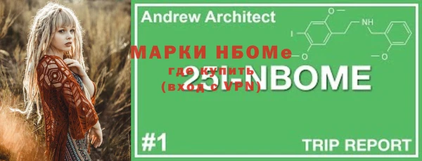 мдпв Богородицк