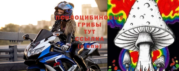 дурь Богданович
