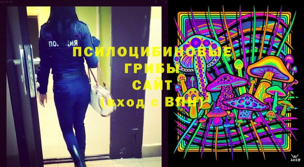 дурь Богданович