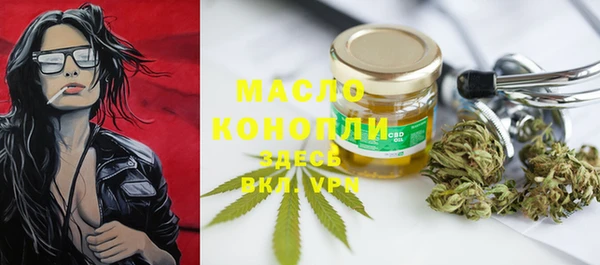 мдпв Богородицк