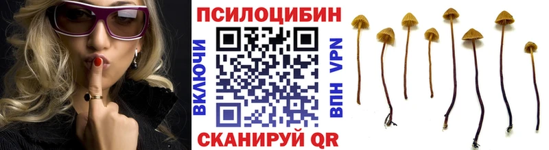 Купить где  Тимашёвск  Галлюциногенные грибы мухоморы 